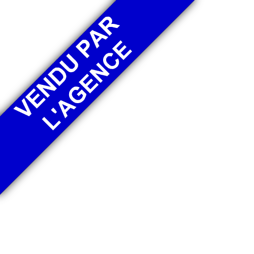 bandeau AGENCE INS