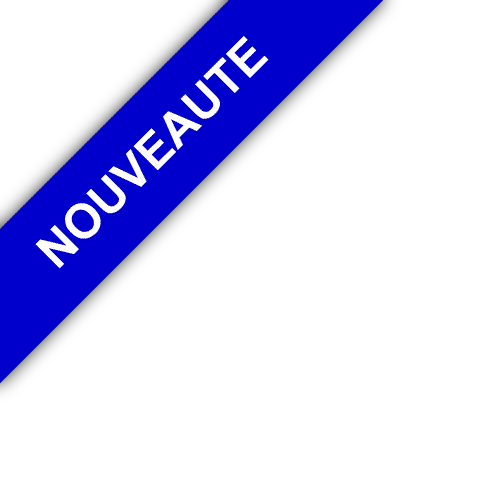 bandeau AGENCE INS