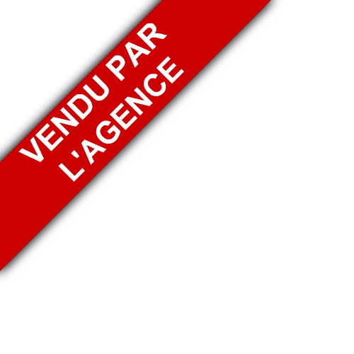 bandeau AGENCE INS