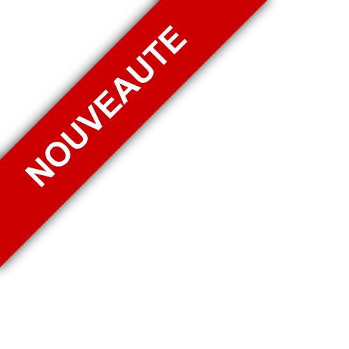 bandeau AGENCE INS
